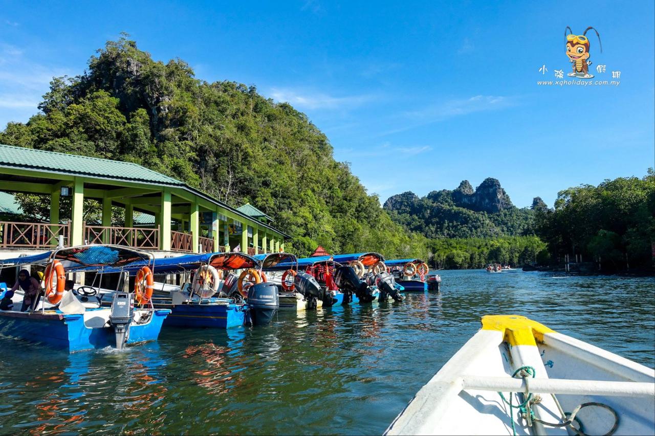 Jelajahi Hutan Bakau Langkawi yang Menawan